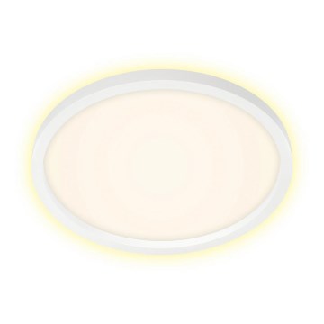 Briloner 7363-016 - LED Stropní svítidlo CADRE LED/22W/230V pr. 42,5 cm bílá