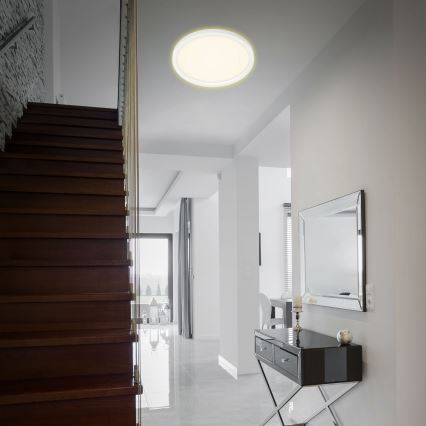 Briloner 7363-016 - LED Stropní svítidlo CADRE LED/22W/230V pr. 42,5 cm bílá
