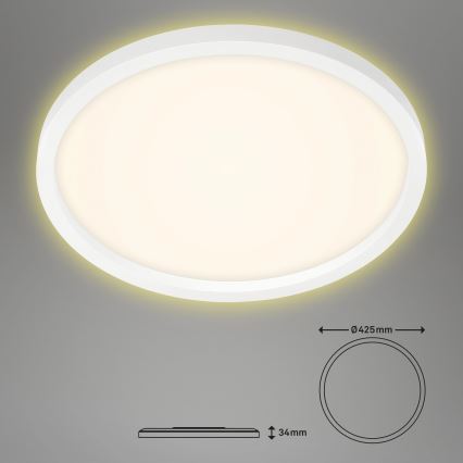 Briloner 7363-016 - LED Stropní svítidlo CADRE LED/22W/230V pr. 42,5 cm bílá