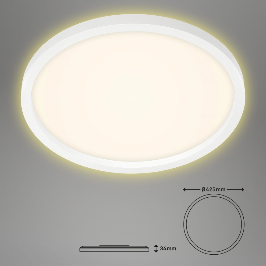 Briloner 7363-016 - LED Stropní svítidlo CADRE LED/22W/230V pr. 42,5 cm bílá
