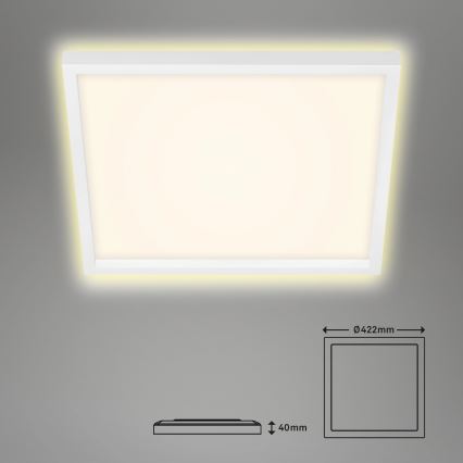Briloner 7364-016 - LED Stropní svítidlo CADRE LED/22W/230V 42,2x42,2 cm bílá