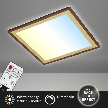 Briloner 7459-417 - LED Stmívatelné stropní svítidlo DECO LED/24W/230V 2700-6500K + dálkové ovládání