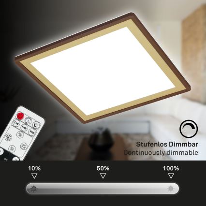 Briloner 7459-417 - LED Stmívatelné stropní svítidlo DECO LED/24W/230V 2700-6500K + dálkové ovládání