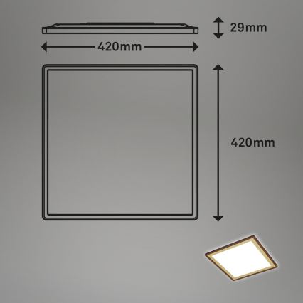 Briloner 7459-417 - LED Stmívatelné stropní svítidlo DECO LED/24W/230V 2700-6500K + dálkové ovládání