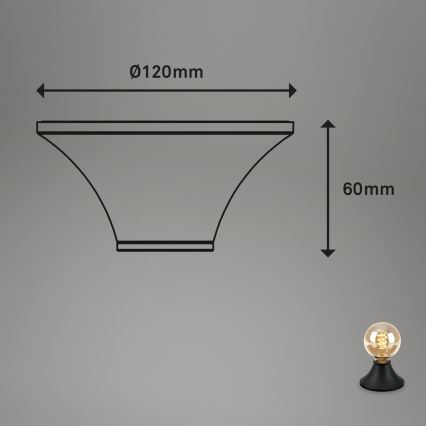 Briloner - Koupelnové stropní svítidlo 1xE27/10W/230V IP44 černá