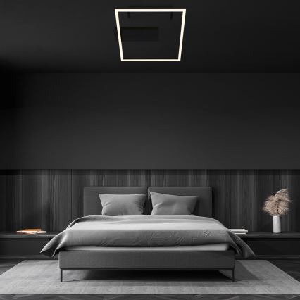 Briloner - LED Stropní svítidlo FRAME LED/14W/230V 3000K 30x32 cm černá