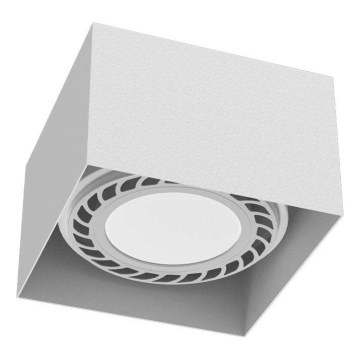 Brosline - Bodové svítidlo 1xGU10/18W/230V bílá