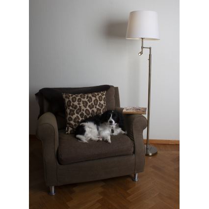 ByRydens - LED Stojací lampa ORLANDO 1xE27/5W/230V + LED/3W bílá/bronz pr. 36 cm