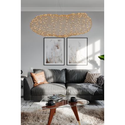 ByRydens - LED Lustr na lanku HAYDEN LED/20W/230V zlatá