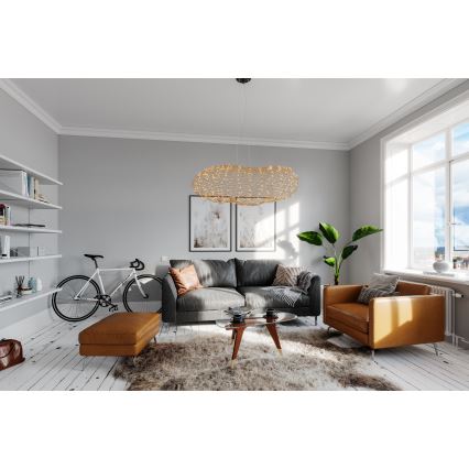ByRydens - LED Lustr na lanku HAYDEN LED/20W/230V zlatá