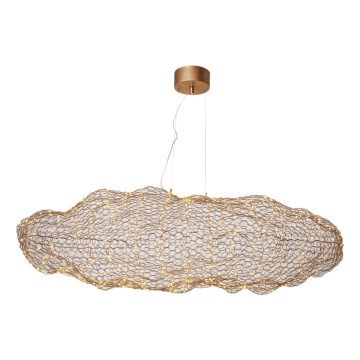 ByRydens - LED Lustr na lanku HAYDEN LED/20W/230V zlatá