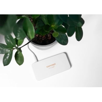 Concept KZ2010 - LED Kapesní kosmetické zrcátko PERFECT SKIN LED/1,5W/5V 4500-5500K 300 mAh bílá