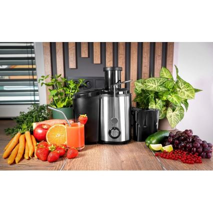 Concept LO7095 - Odstředivý odšťavňovač 1000W/230V černá/nerez