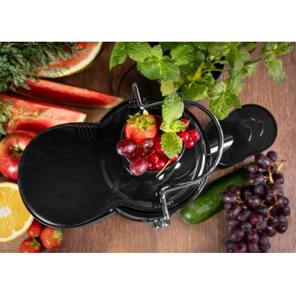 Concept LO7095 - Odstředivý odšťavňovač 1000W/230V černá/nerez