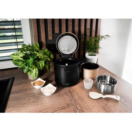 Concept RE4040 - Digitální rýžovar 2v1 450W/230V 2 l černá/dekor dřeva