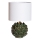 Cottex - Stolní lampa ROSANNA 1xE14/8W/230V zelená