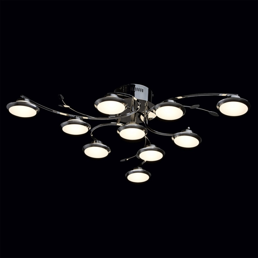 De Markt - LED Stropní svítidlo NANCY 10xLED/5W/230V