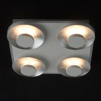 De Markt - LED Stropní svítidlo YLANG 4xLED/6W/230V