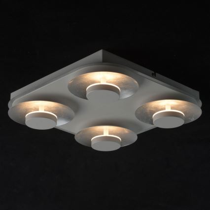 De Markt - LED Stropní svítidlo YLANG 4xLED/6W/230V