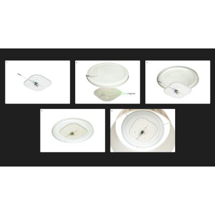 Duolla - LED Stropní svítidlo CORTINA LED/26W/230V pr. 30 cm 4000K zelená