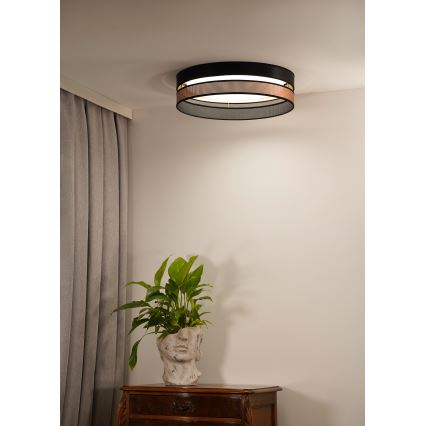 Duolla - LED Stropní svítidlo ROLLER DUO SHINY LED/24W/230V pr. 45 cm černá/měděná