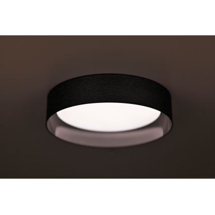 Duolla - LED Stropní svítidlo ROLLER LED/24W/230V pr. 45 cm antracit