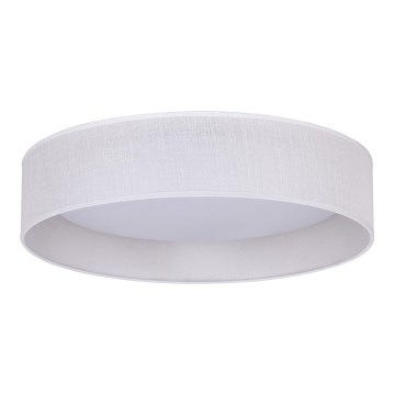 Duolla - LED Stropní svítidlo ROLLER LED/24W/230V pr. 45 cm bílá