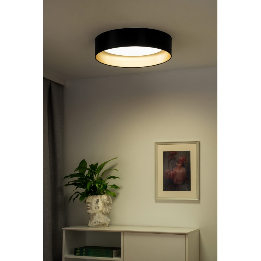 Duolla - LED Stropní svítidlo ROLLER LED/24W/230V pr. 45 cm černá/zlatá
