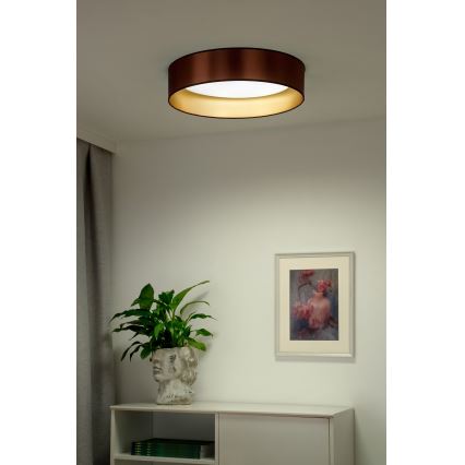 Duolla - LED Stropní svítidlo ROLLER LED/24W/230V pr. 45 cm měděná/zlatá