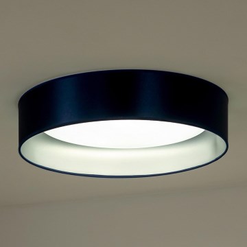 Duolla - LED Stropní svítidlo ROLLER LED/24W/230V pr. 45 cm modrá/stříbrná