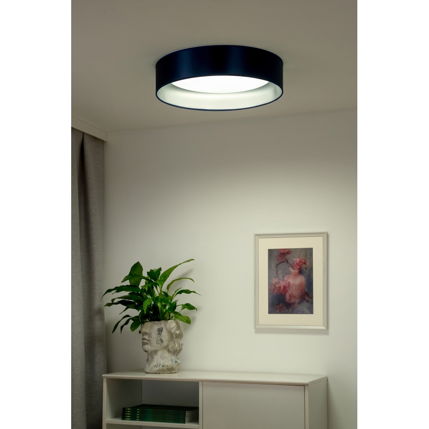 Duolla - LED Stropní svítidlo ROLLER LED/24W/230V pr. 45 cm modrá/stříbrná