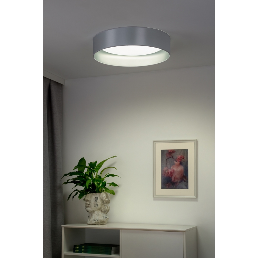 Duolla - LED Stropní svítidlo ROLLER LED/24W/230V pr. 45 cm stříbrná