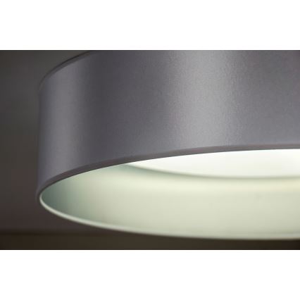 Duolla - LED Stropní svítidlo ROLLER LED/24W/230V pr. 45 cm stříbrná