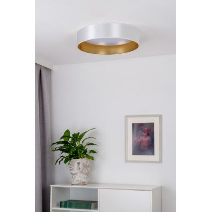 Duolla - LED Stropní svítidlo ROLLER LED/24W/230V pr. 45 cm stříbrná/zlatá