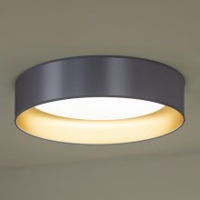 Duolla - LED Stropní svítidlo ROLLER LED/24W/230V stříbrná/zlatá