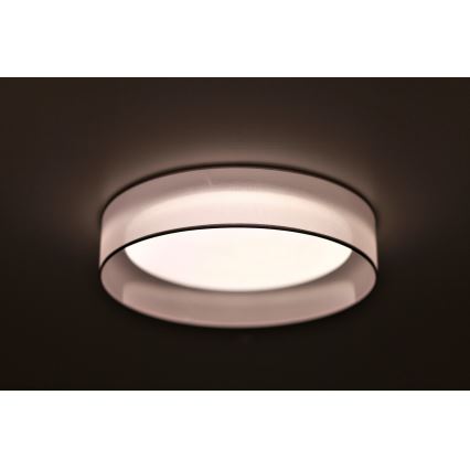 Duolla - LED Stropní svítidlo ROLLER LED/24W/230V světle pr. 45 cm šedá