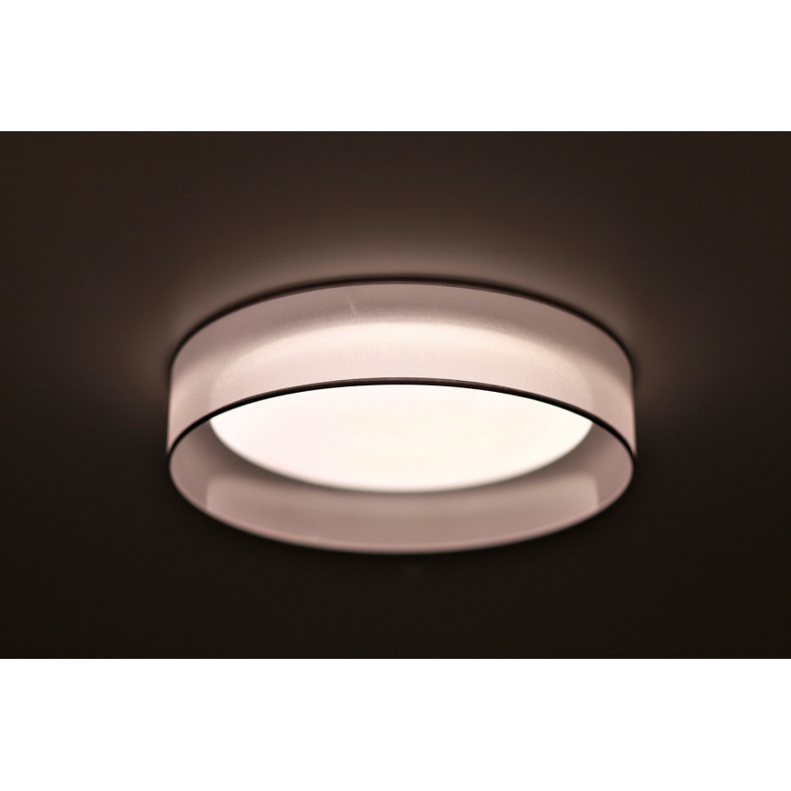 Duolla - LED Stropní svítidlo ROLLER LED/24W/230V světle pr. 45 cm šedá