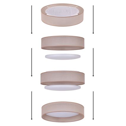Duolla - LED Stropní svítidlo ROLLER LED/24W/230V světle pr. 45 cm šedá