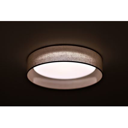 Duolla - LED Stropní svítidlo ROLLER LED/24W/230V světle pr. 45 cm šedá