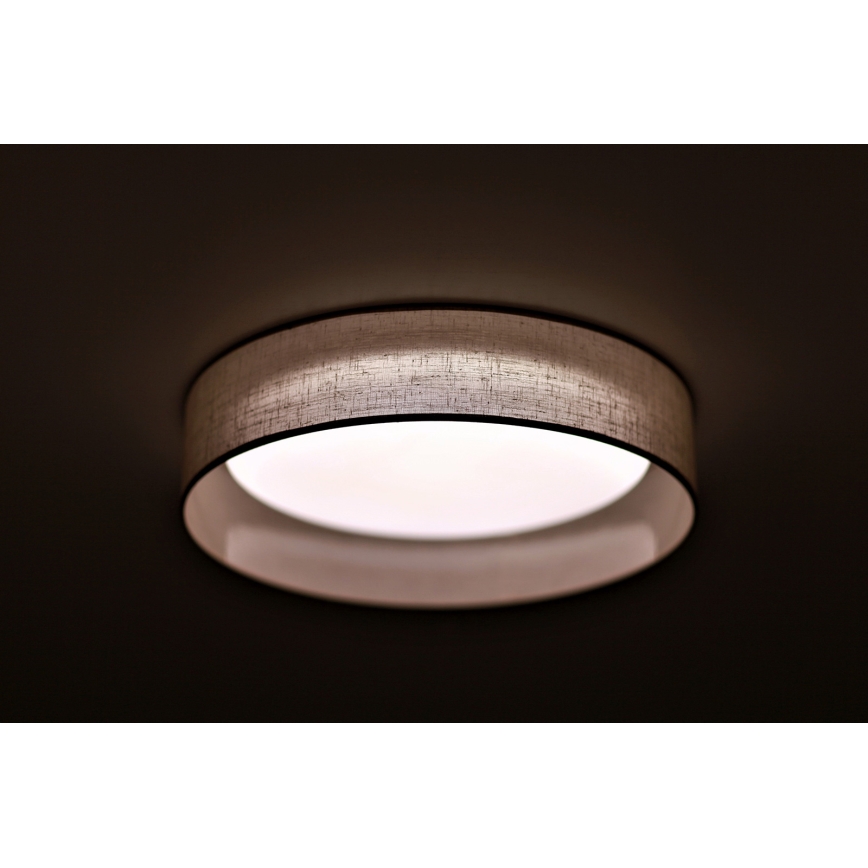 Duolla - LED Stropní svítidlo ROLLER LED/24W/230V světle pr. 45 cm šedá