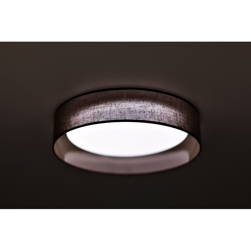 Duolla - LED Stropní svítidlo ROLLER LED/24W/230V tmavě pr. 45 cm hnědá
