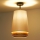 Duolla - Přisazený lustr BELL SHINY 1xE27/15W/230V pr. 25 cm bílá/měděná