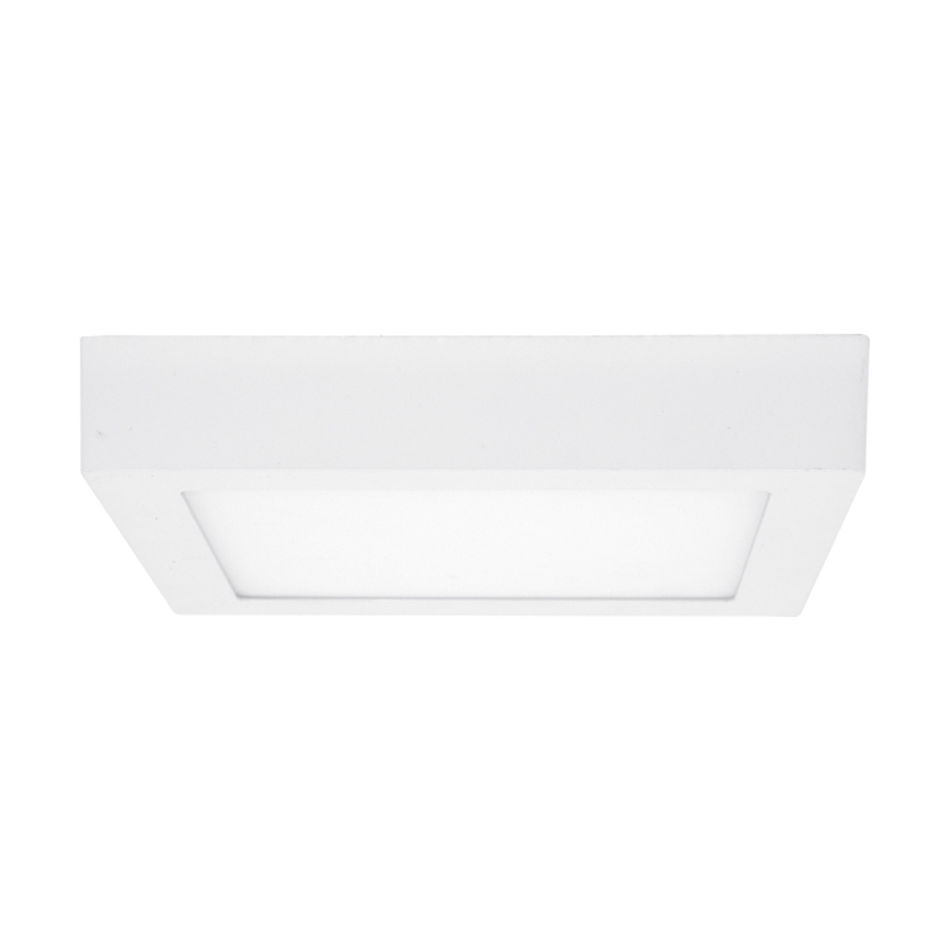 LED Stropní svítidlo RAFA LED/25W/230V 3000/4000/6000K 30x30 cm bílá