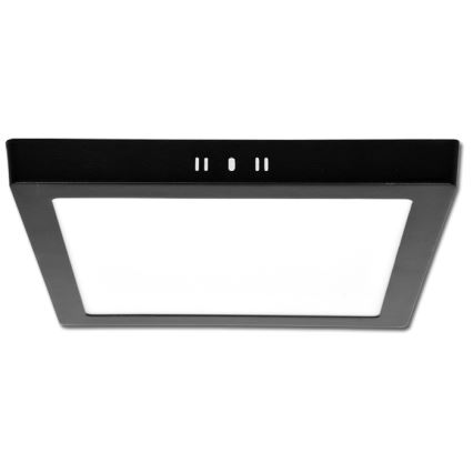 LED Stropní svítidlo RAFA LED/25W/230V 3000/4000/6000K 30x30 cm černá