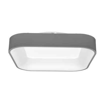 LED Stmívatelné stropní svítidlo NEST LED/40W/230V 3000-6500K šedá