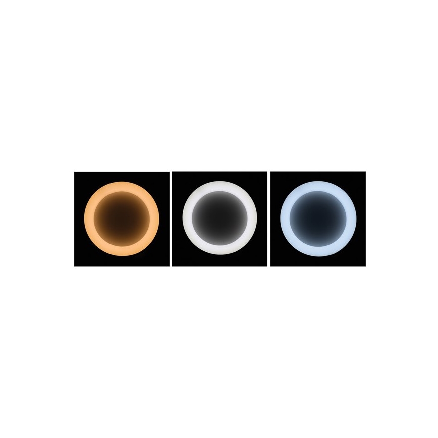 LED Stmívatelný lustr na lanku NEST LED/40W/230V 3000-6500K bílá + dálkové ovládání