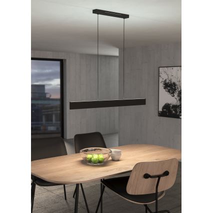 Eglo 31433 - LED RGBW Stmívatelný lustr na lanku ANDREAS-Z LED/38W/230V 2700-6500K černá