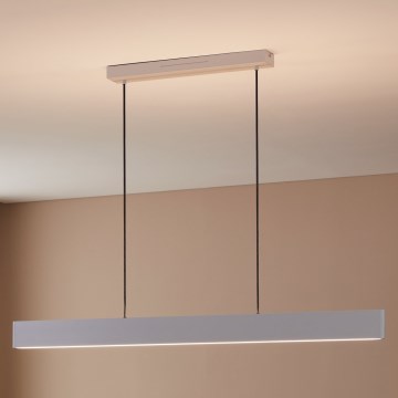 Eglo 31436 - LED RGBW Stmívatelný lustr na lanku ANDREAS-Z LED/38W/230V 2700-6500K bílá