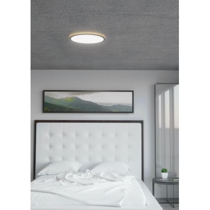 Eglo 31704 - LED RGBW Stmívatelné stropní svítidlo ROVITO-Z 1xLED/16,5W/230V 2700-6500K pr. 42 cm černá