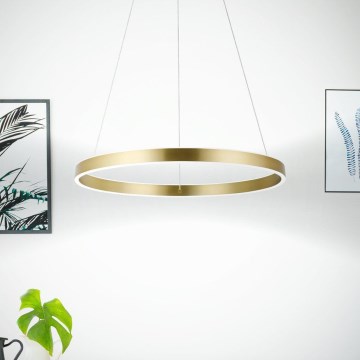 Eglo 33484 - LED Lustr na lanku ALCAZABA 2xLED/18W/230V 3000K pr. 55 cm zlatá